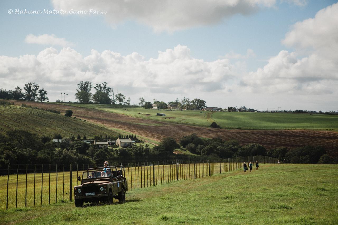 Hakuna Matata Game Farm Great Brak River Экстерьер фото